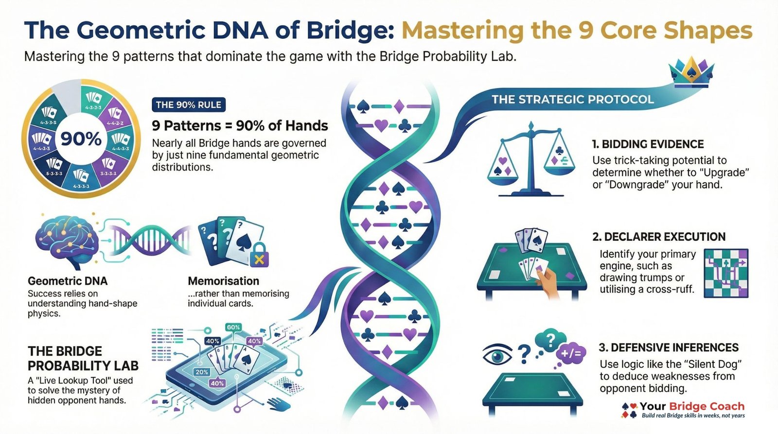 The Bridge Hand Shape Strategy Database